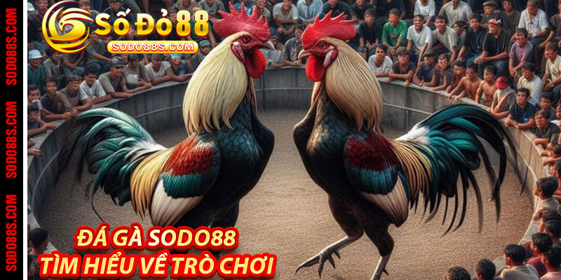 Đá Gà Sodo88: Tìm Hiểu Về Trò Chơi
