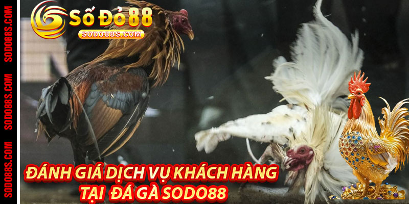 Đánh Giá Dịch Vụ Khách Hàng Tại Sodo88