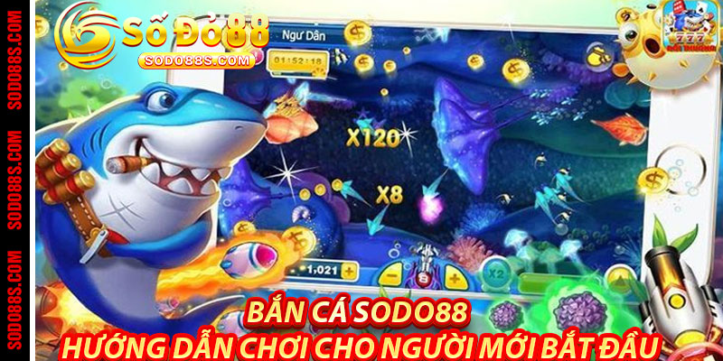 Bắn Cá Sodo88: Hướng Dẫn Chơi Cho Người Mới Bắt Đầu