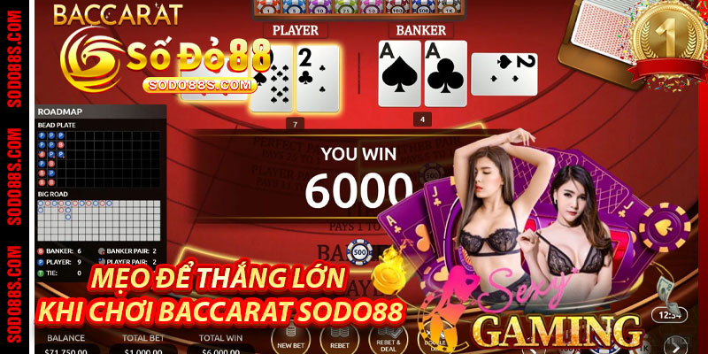 Mẹo Để Thắng Lớn Khi Chơi Baccarat Sodo88