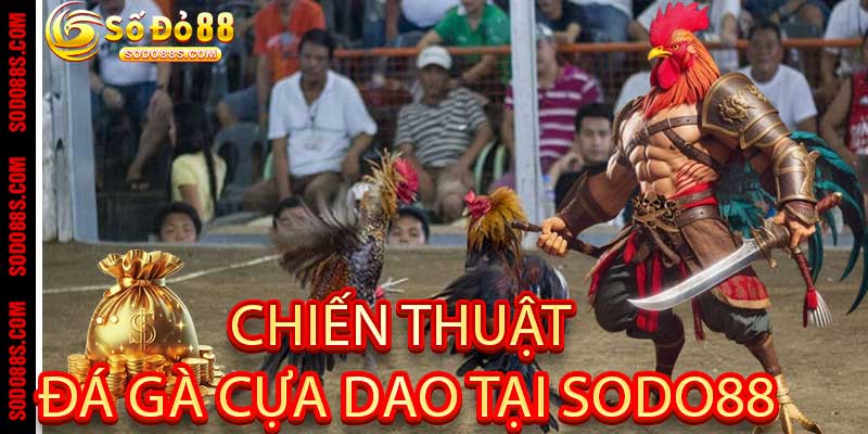 Chiến thuật thi đấu Đá Gà Cựa Dao tại Sodo88