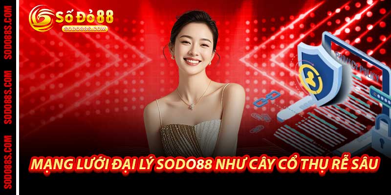 Mạng Lưới Đại Lý Sodo88 Như Cây Cổ Thụ Rễ Sâu