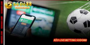 Kèo Góc Live Sodo88 - Cá Cược Phạt Góc Trực Tiếp Kịch Tính